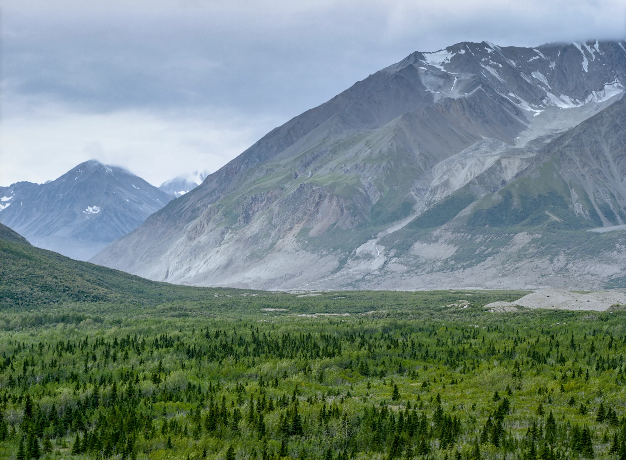 Denali Highway, Alaska / Mamiya 645 AFD / Kodak Ektar 100