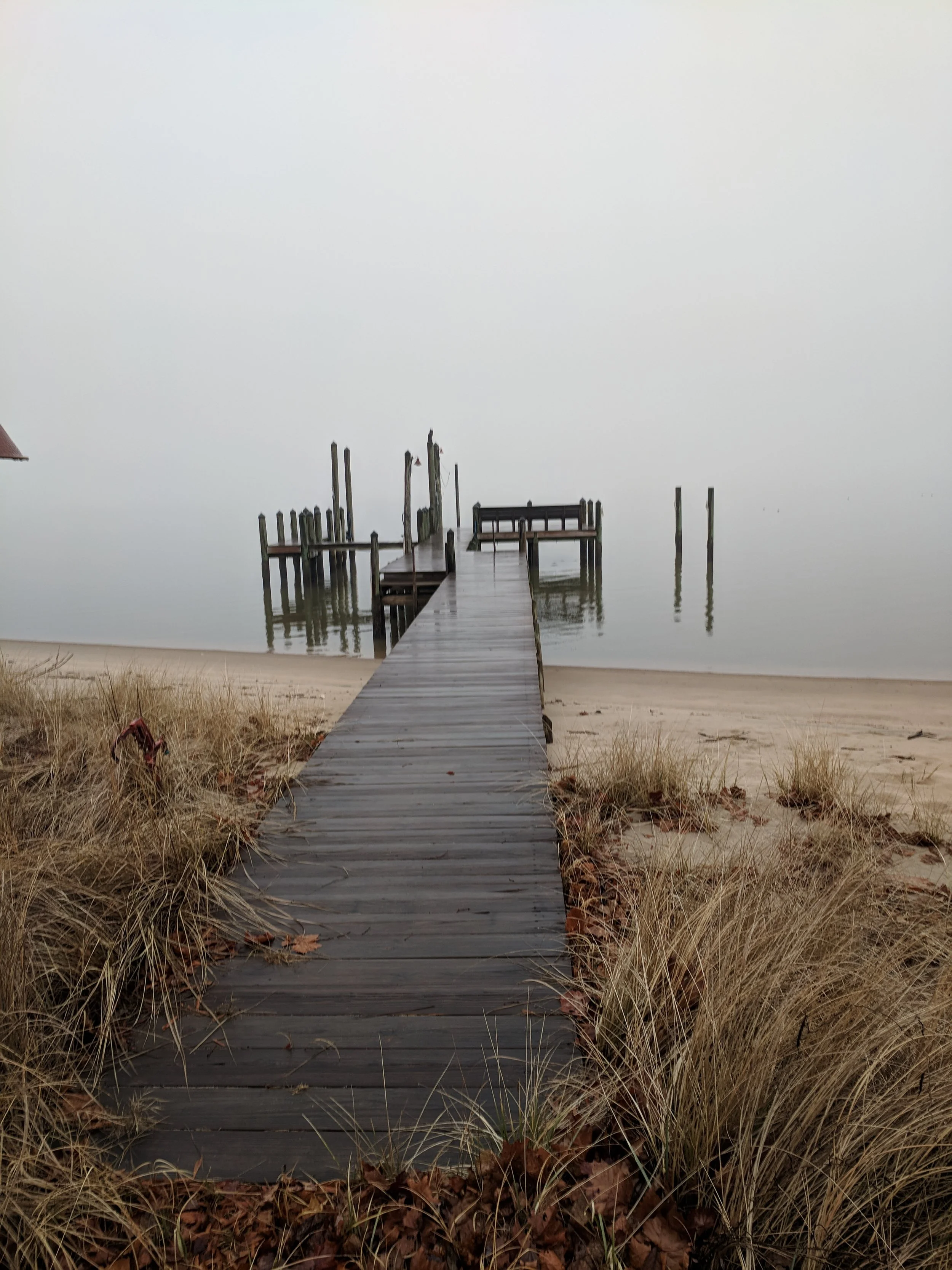 Founders Guild Pilot