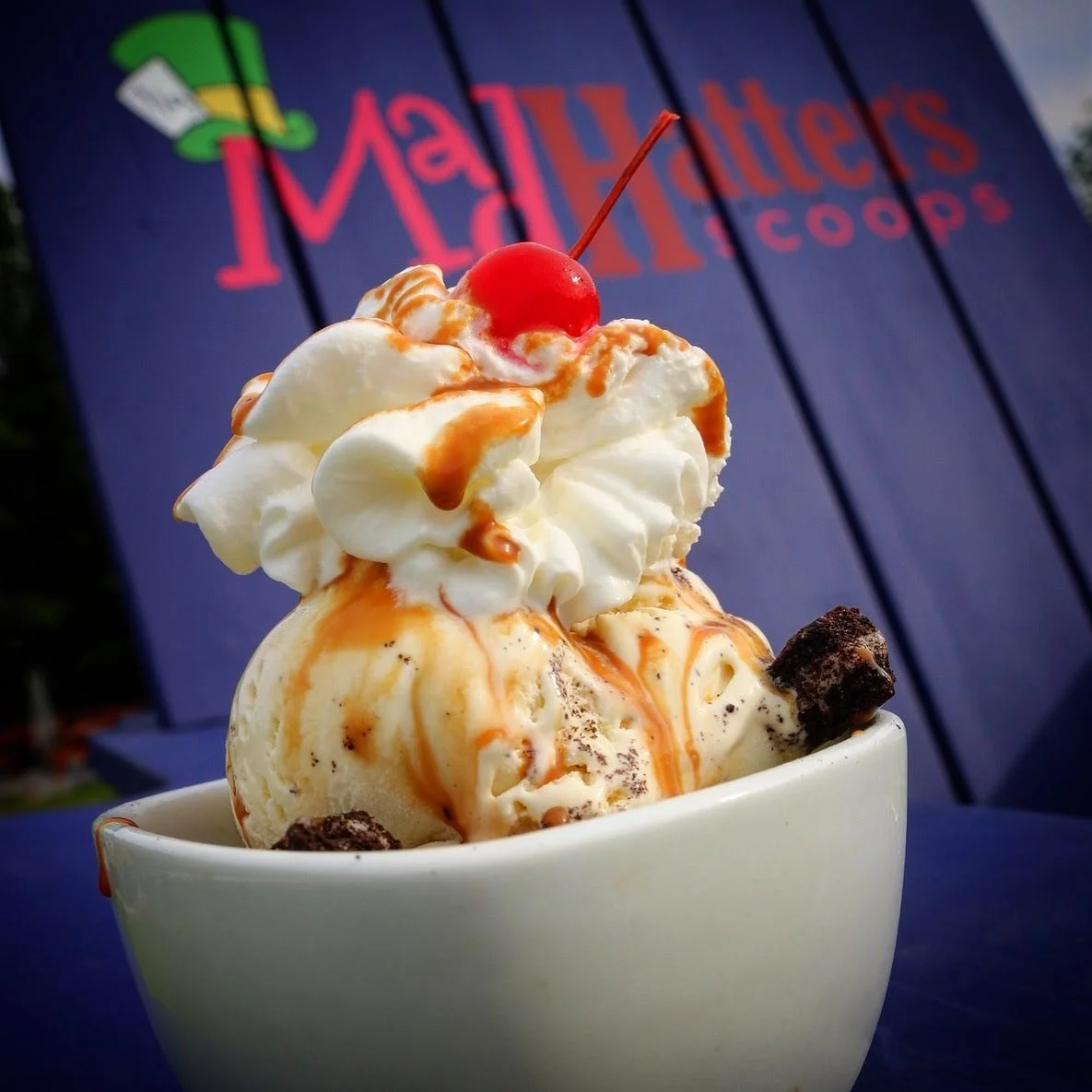 sundae in chair.jpg