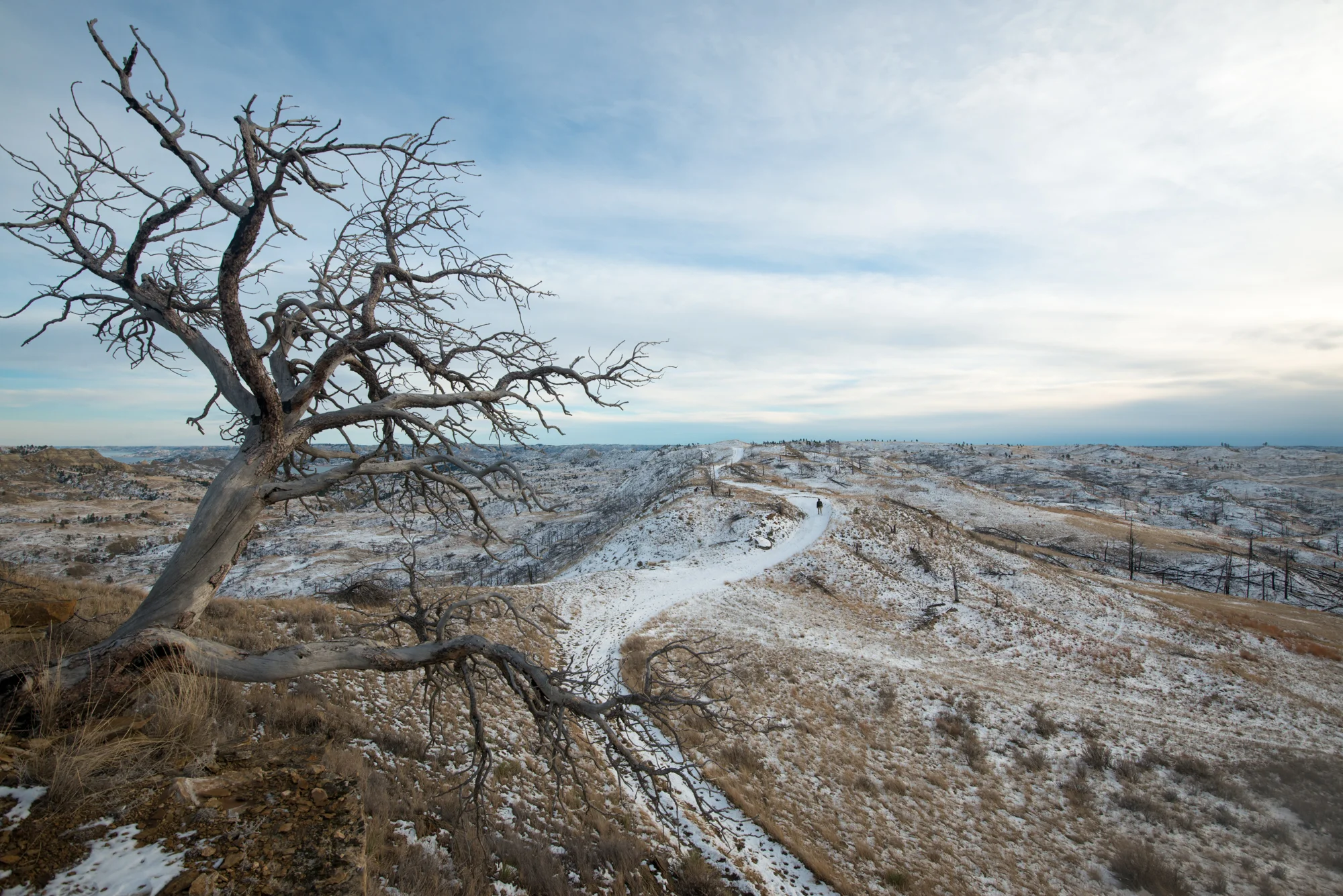 Rhys Morgan Images_Montana-8523.jpg