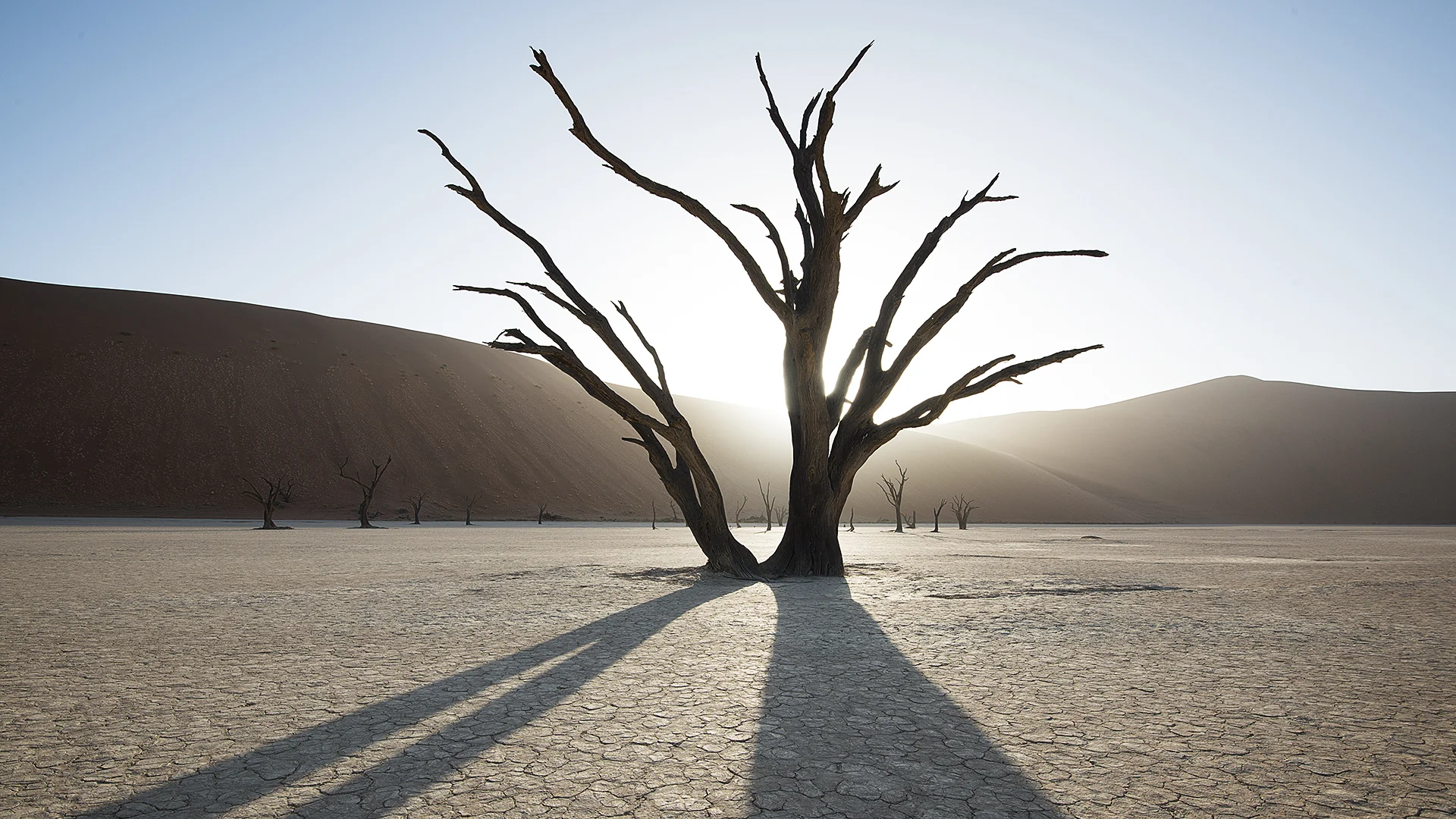 Ancient, Namibia
