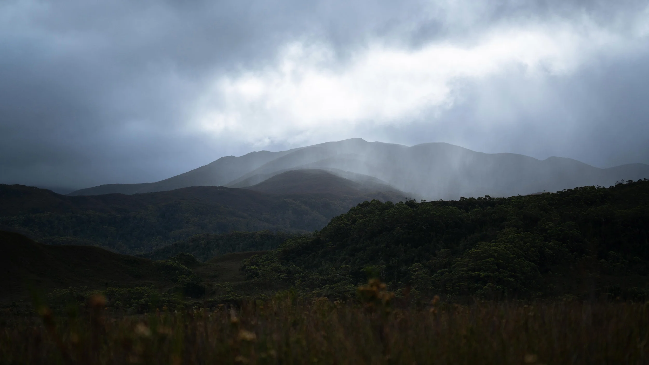 Morgan Cardiff_2018_SW Tassie-00084.jpg
