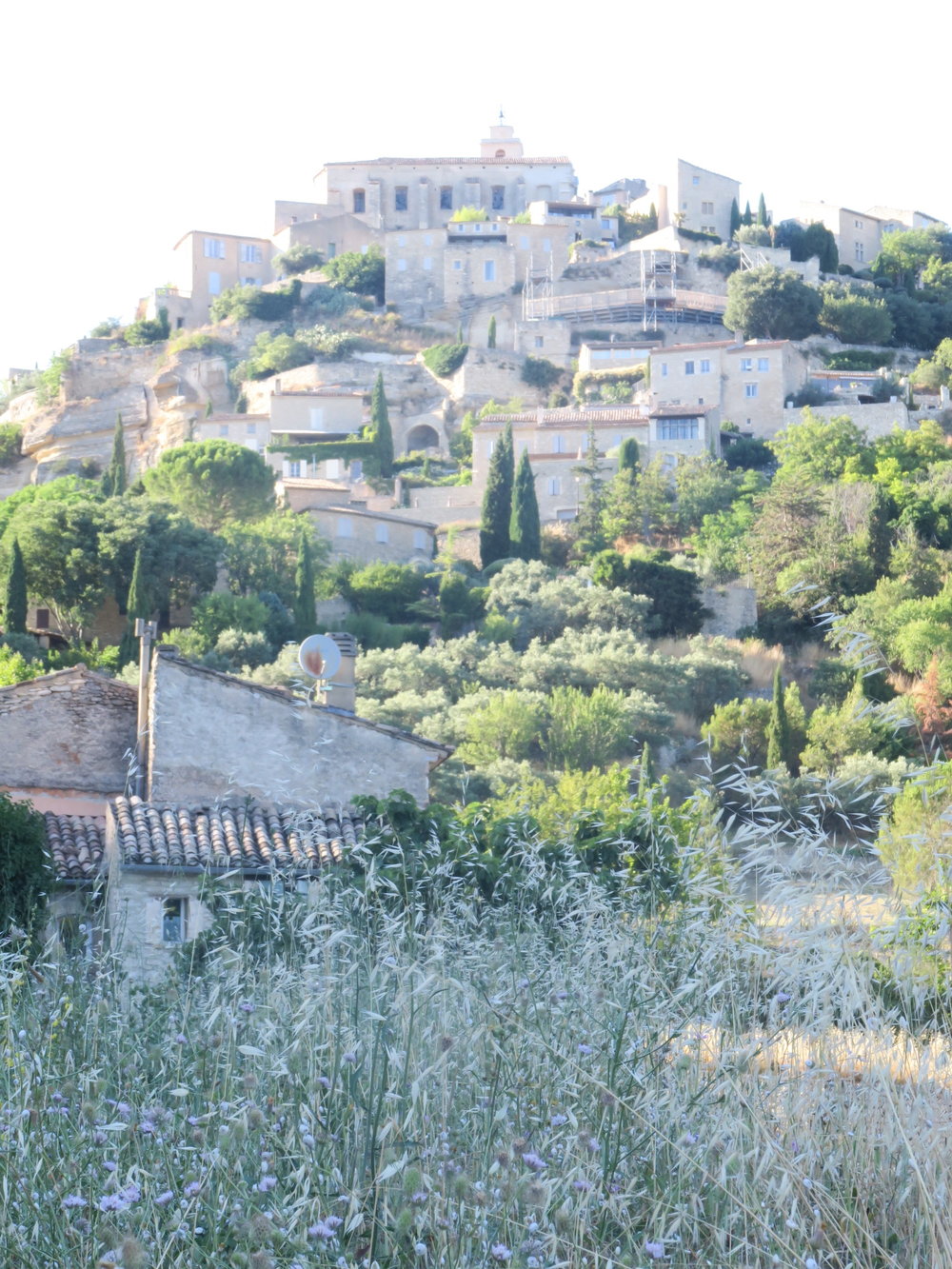 travellur_slow_travel_france_lavender_land_beauty_hill.jpg