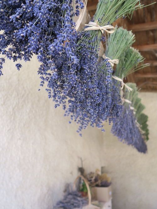 travellur_slow_travel_france_lavender_land_village_drying