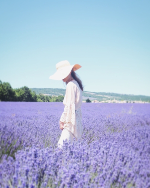 travellur_slow_travel_france_lavender_land.jpg