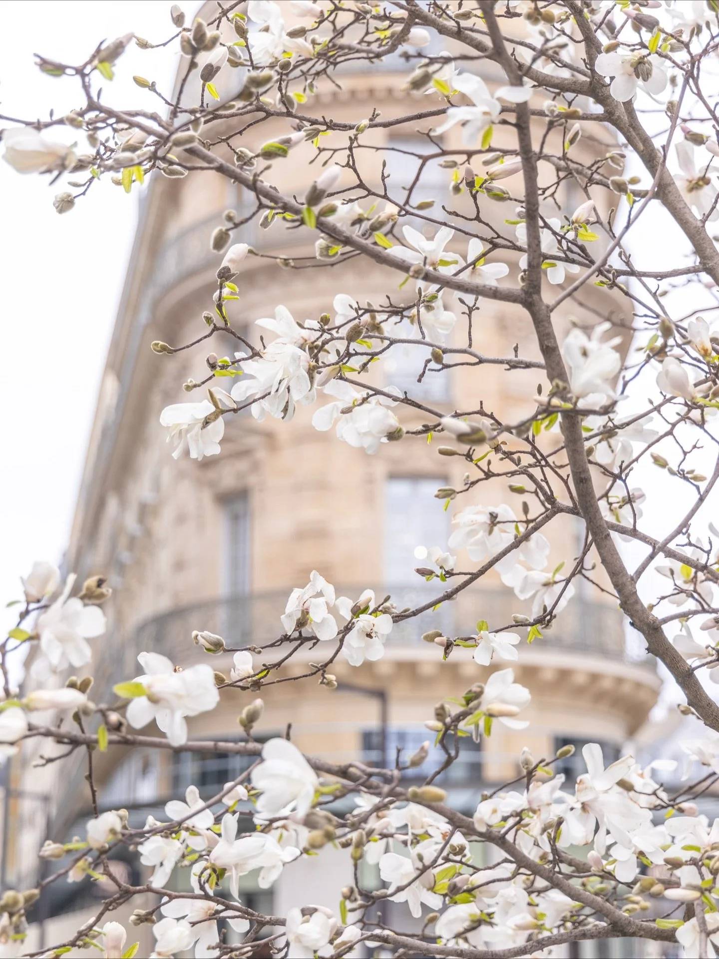 Not sure what is the best time to visit Paris? It depends on what you had in mind, but you&rsquo;re going to get the best deals in the spring when flights and hotel rooms are the lowest of the year and the weather, while still unpredictable, is not p