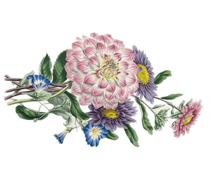 Explore Versailles with Our Exclusive Packages — Travellur