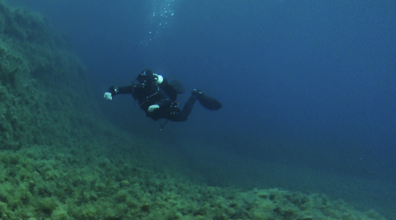 1a. Steve Xwenji.PNG