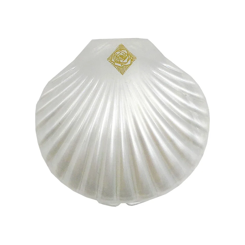 seashell1_1024x1024.jpg