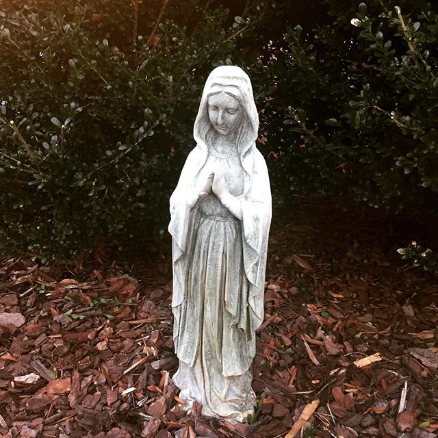 Caught the last of the evening light as we settle into a Lenten Taize service tonight! #contemplative #taize