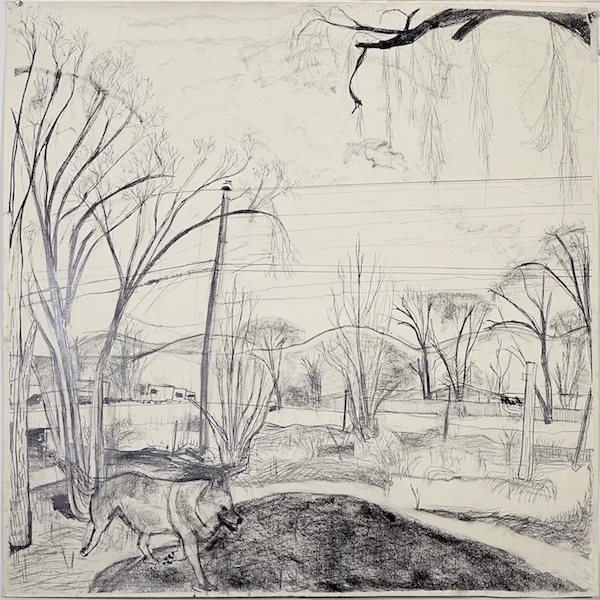 4. This Is Not a Wolf 