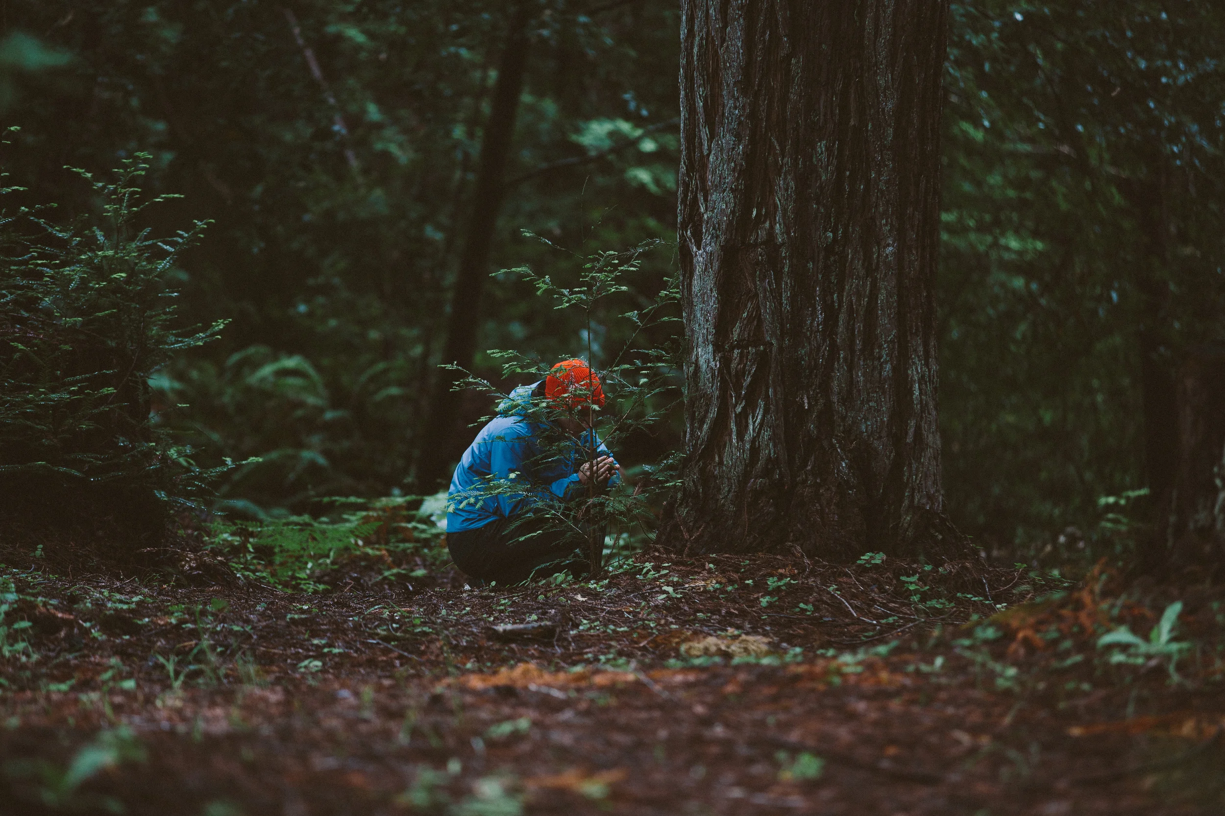 untitled (20 of 67).jpg