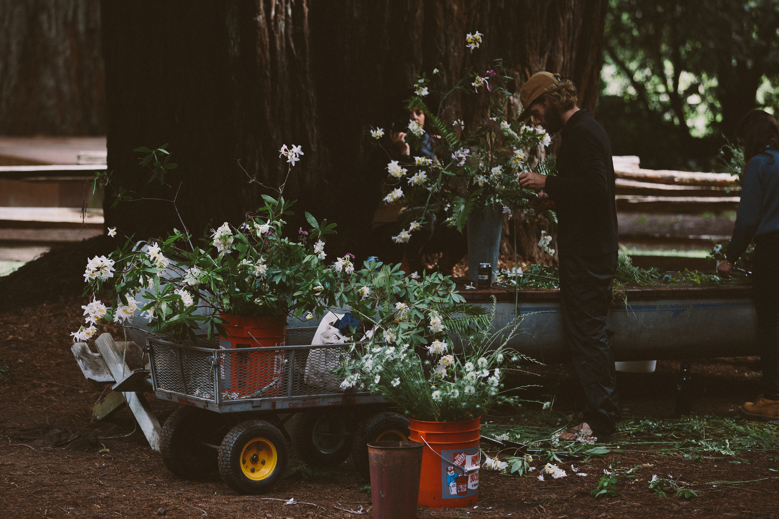 untitled (50 of 67).jpg