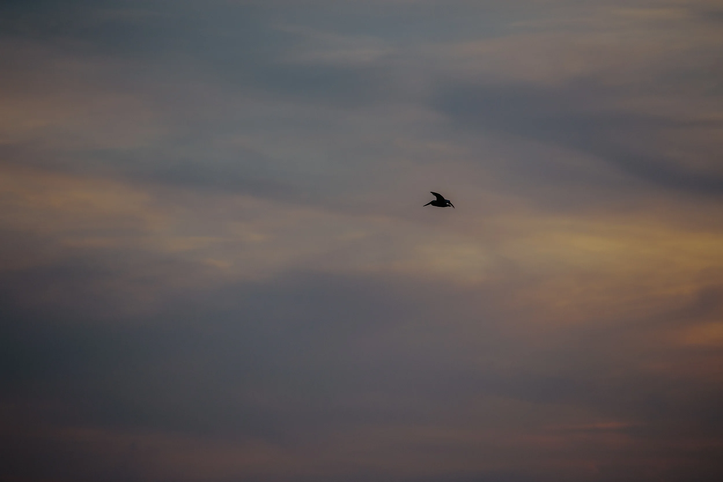 untitled (7 of 19).jpg