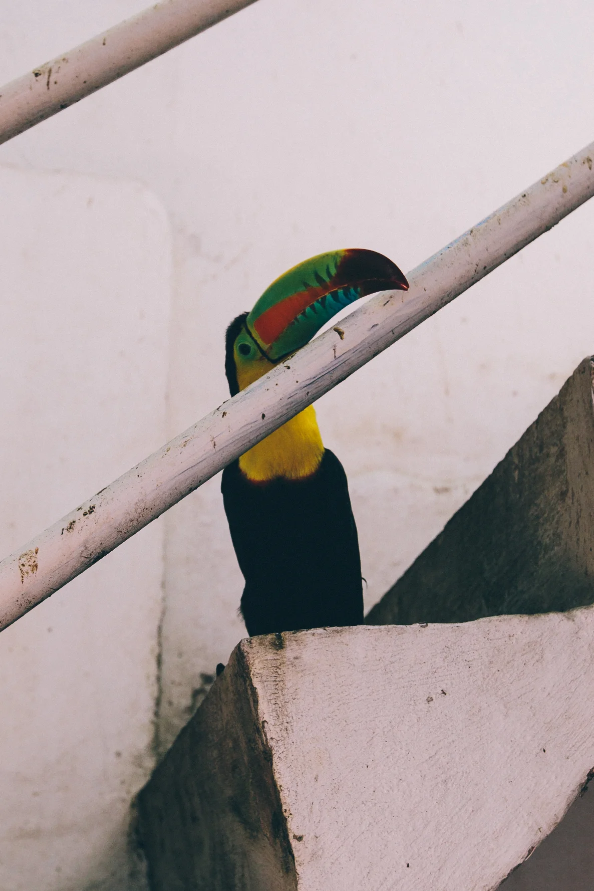 untitled (10 of 34).jpg