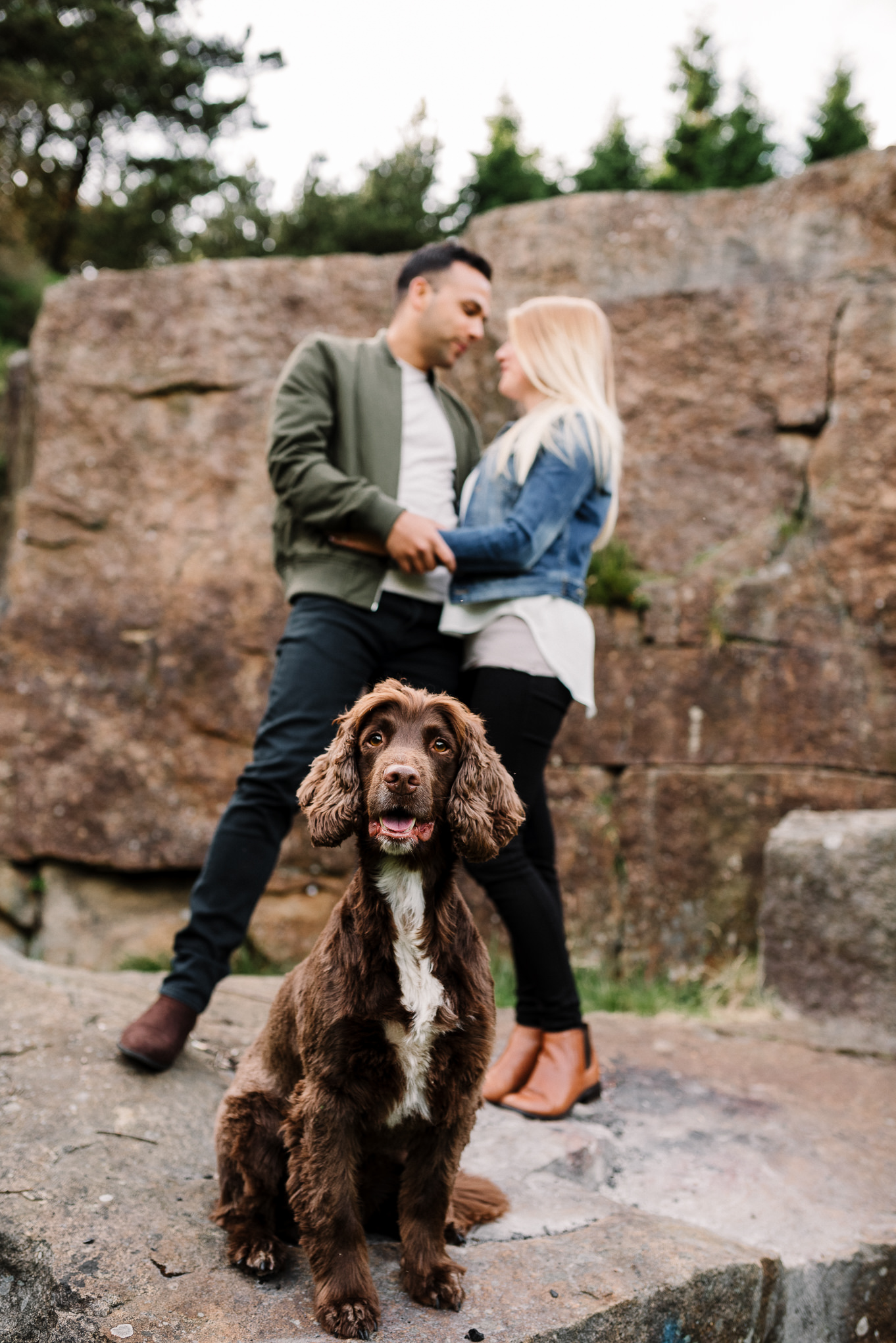 Dog portrait with owners in the background. Lancashire lifestyle photographer