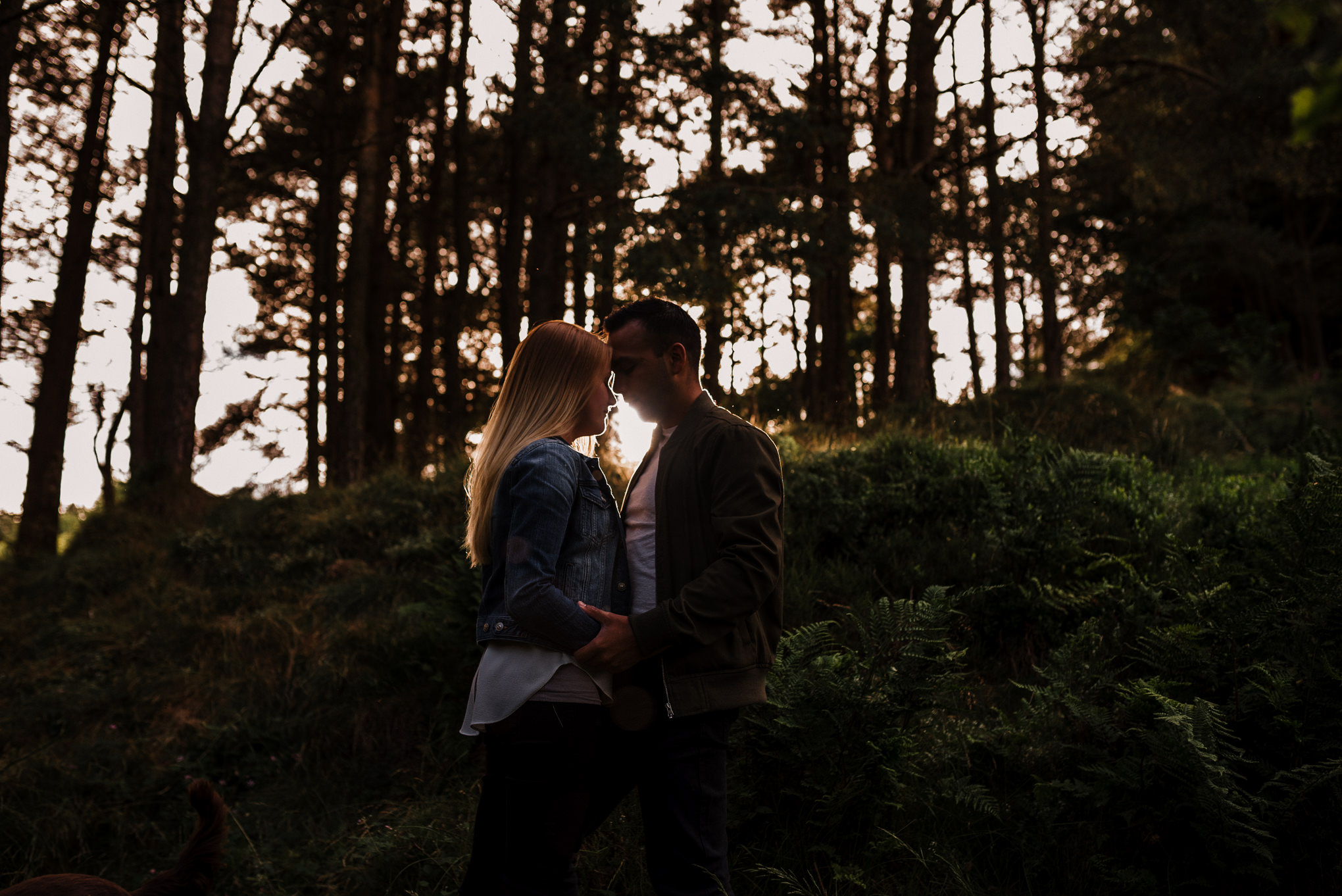 Natural silhouette of couple kissing. Lancashire photographer