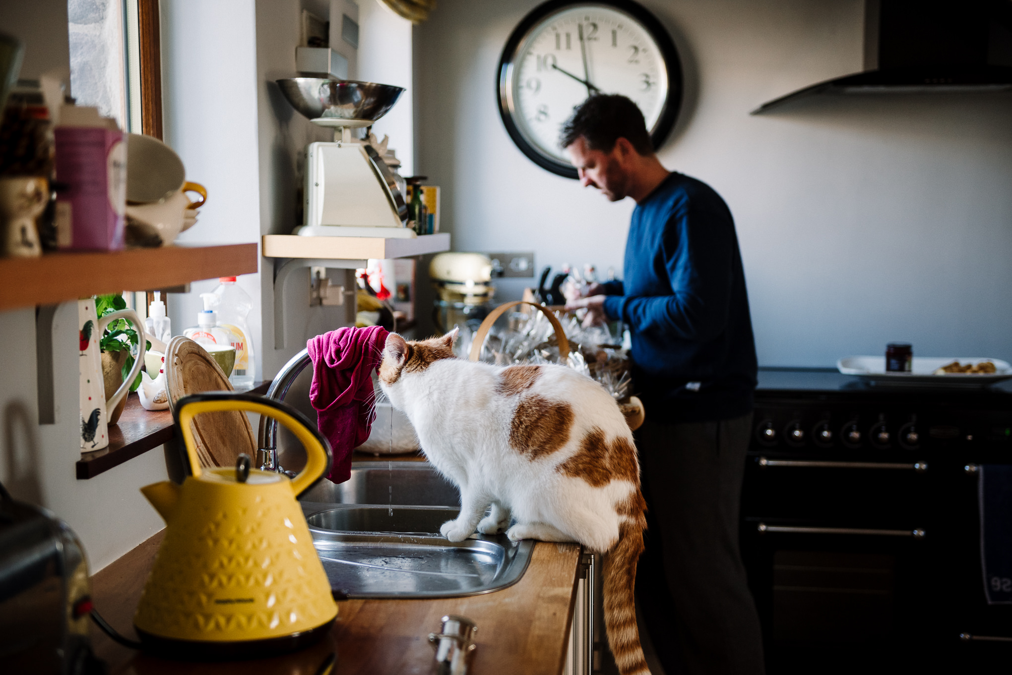 Documentary photo of the morning - cat drinking from the kitchen tap