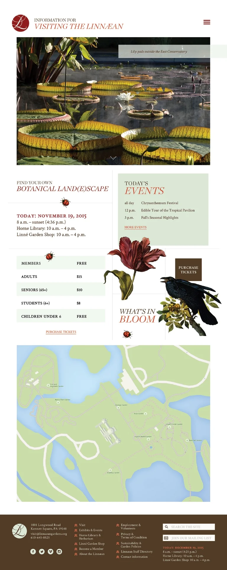 Linnaean: website (visitors)