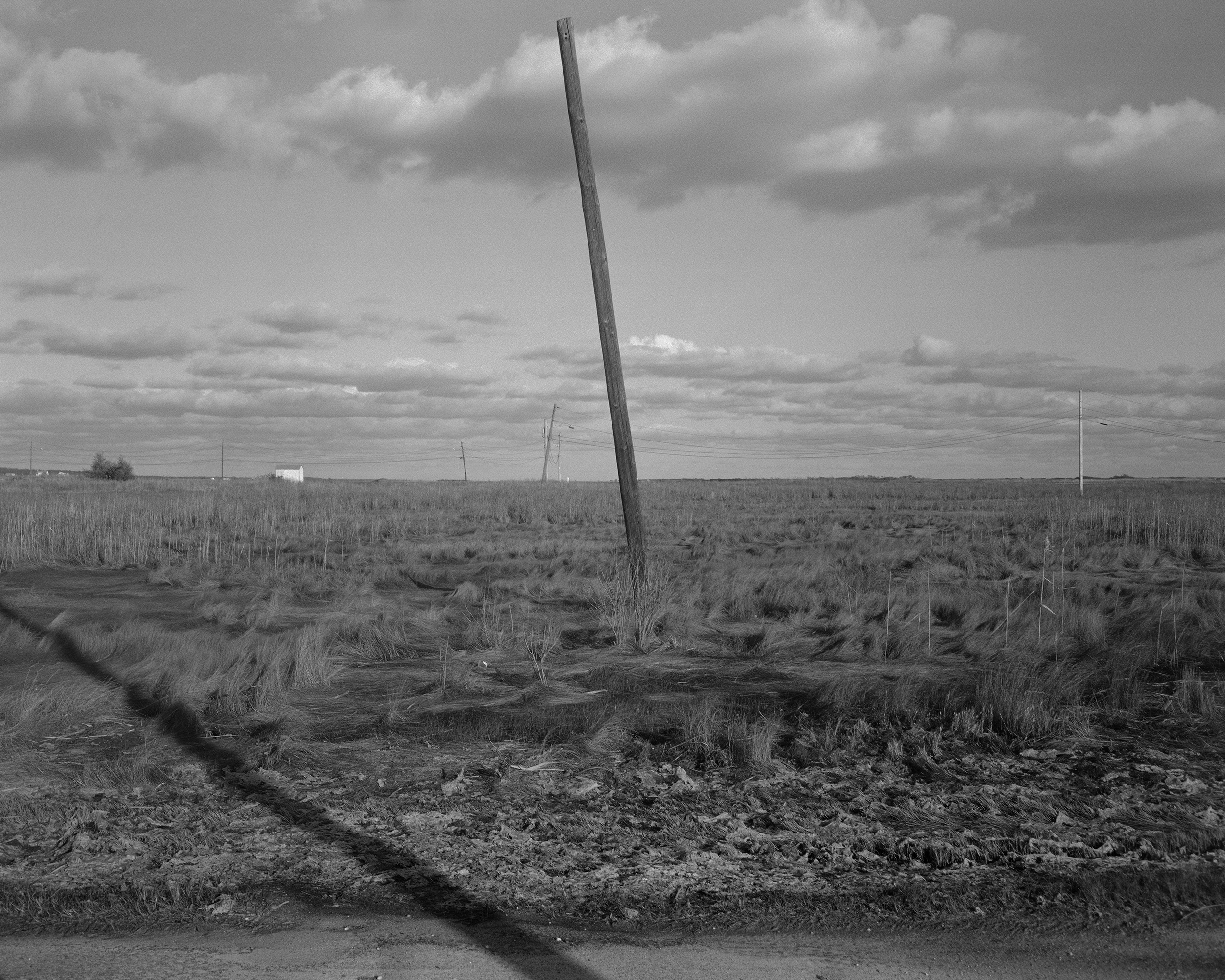 Marsh near Craneberry