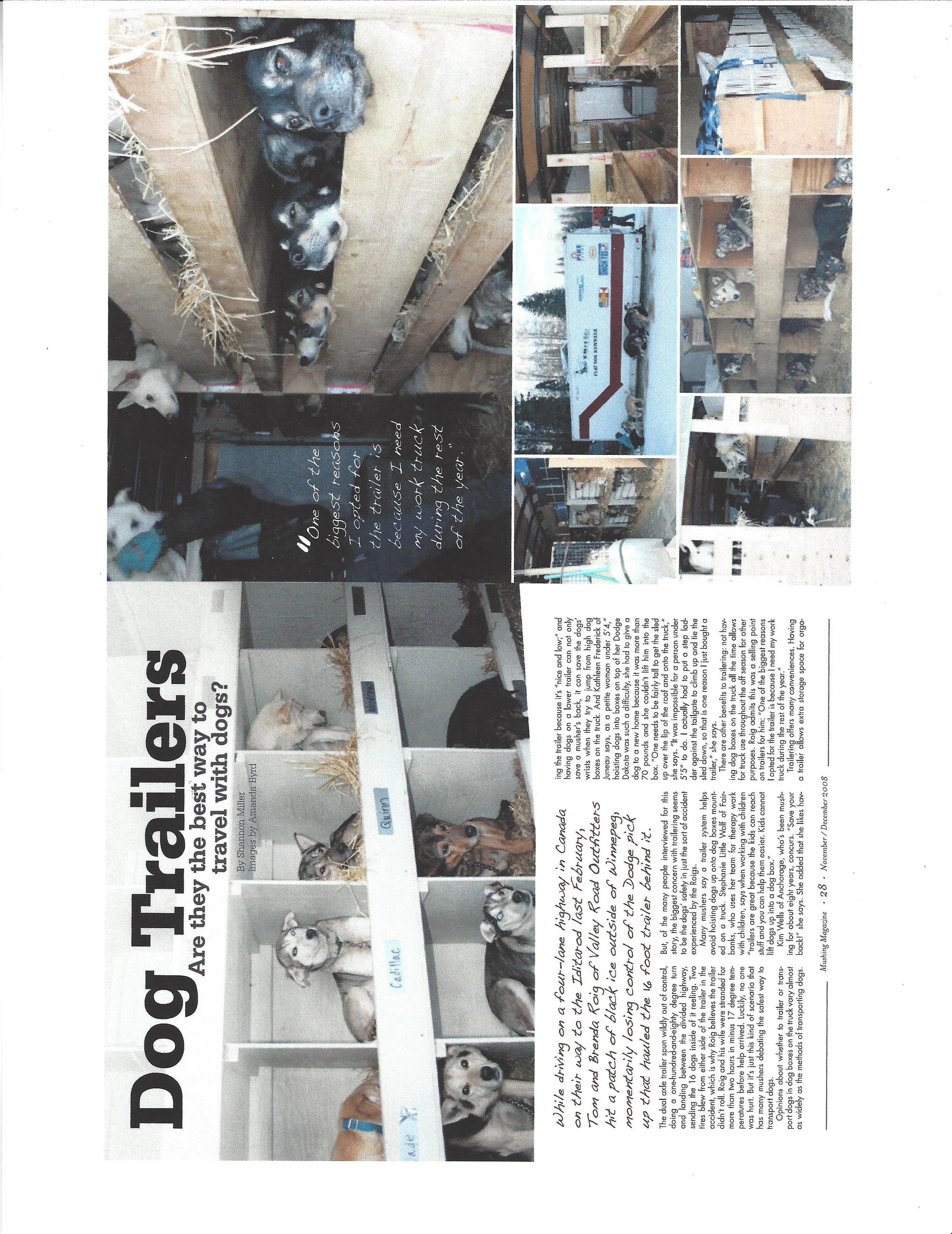 Dog Trailer Story_Page_1.jpg