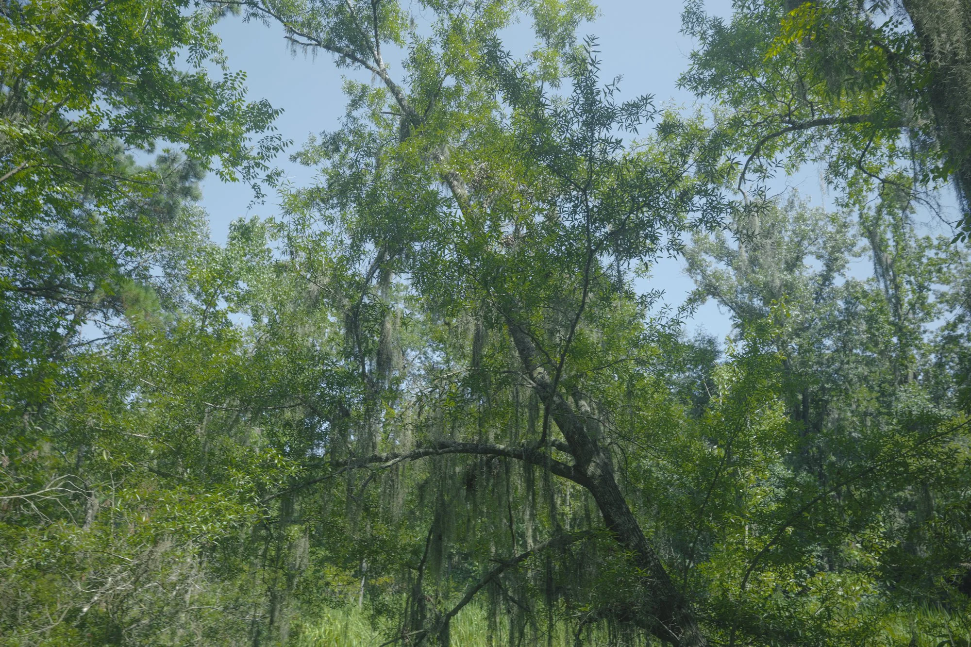 P1096201.jpg