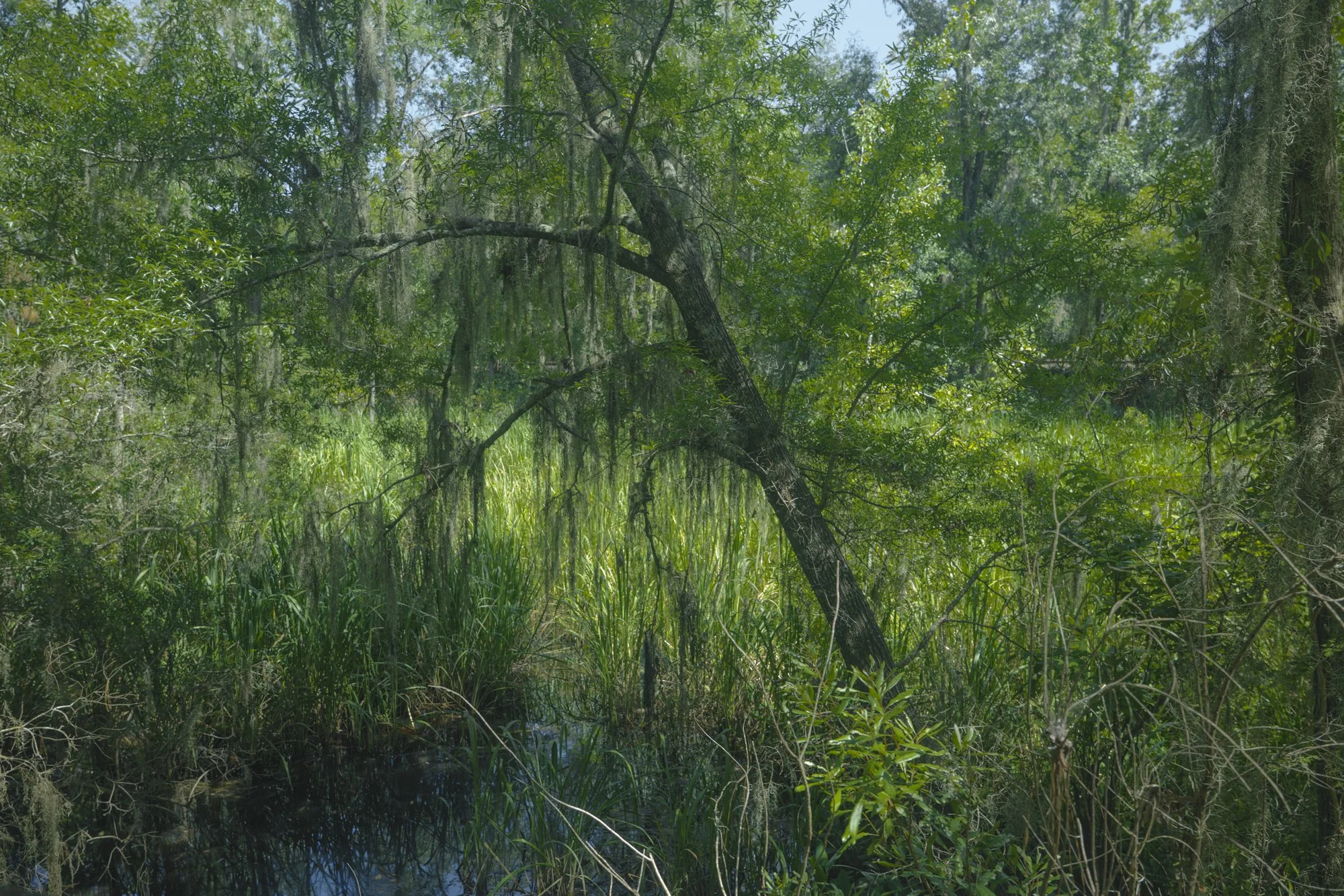 P1096195-2.jpg