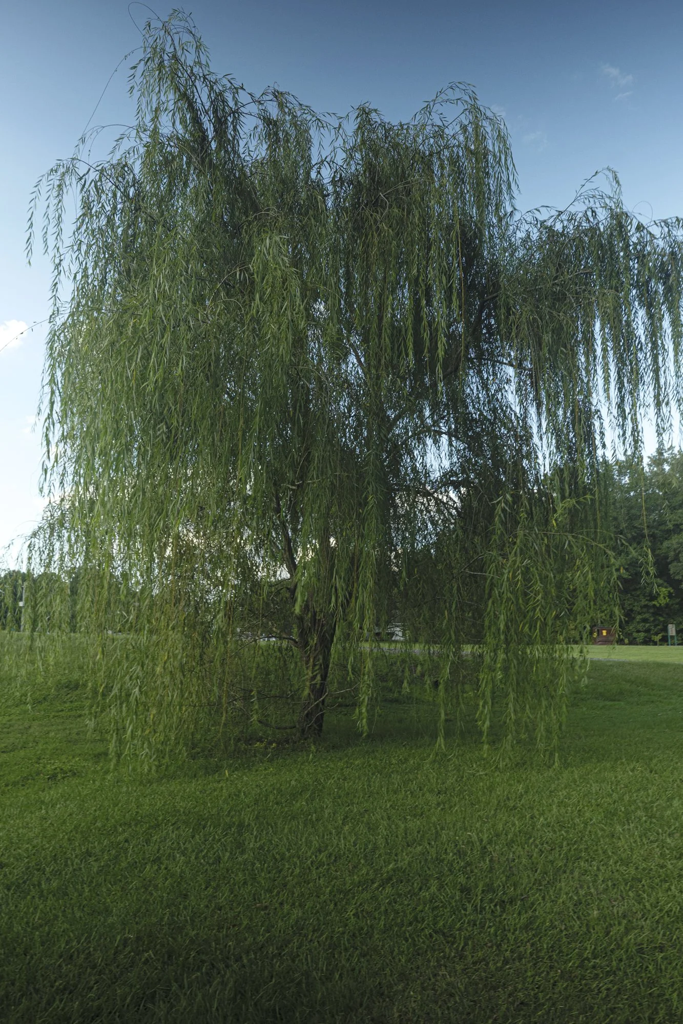 P1096348.jpg