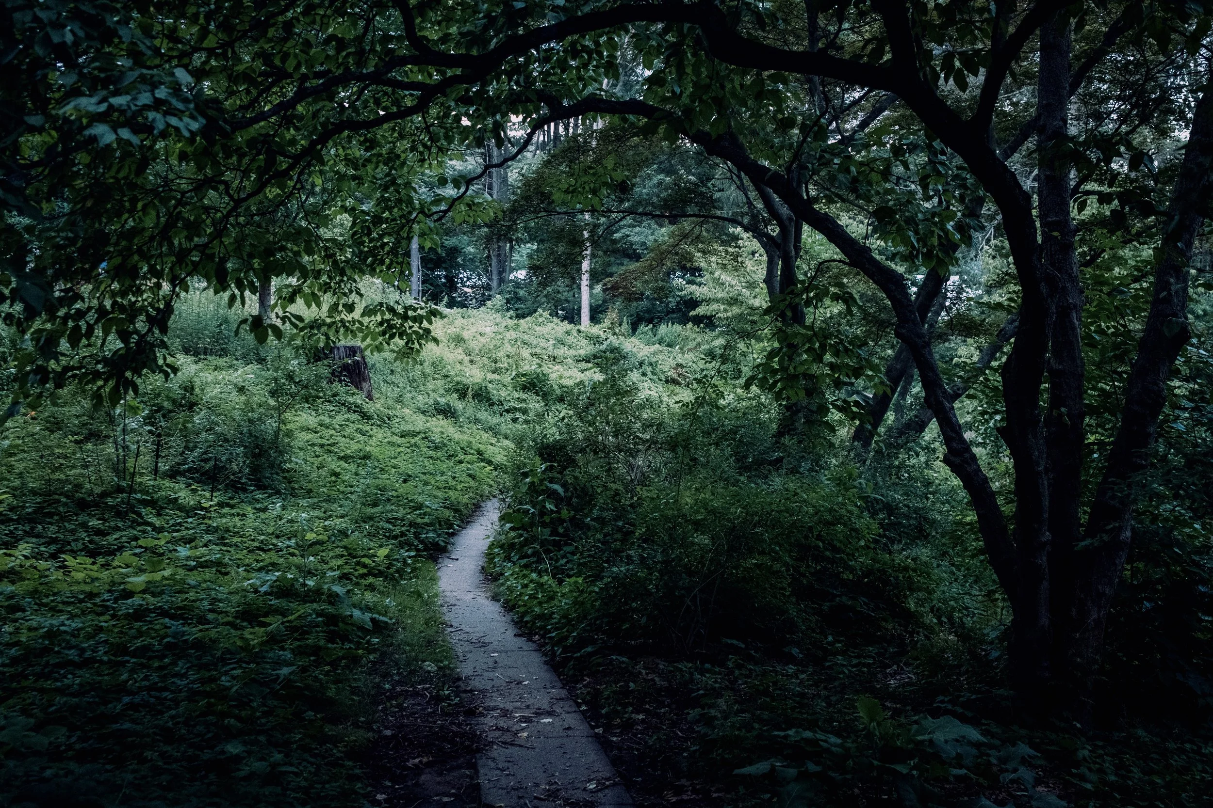 Edgerton Park - New Haven, CT 2021