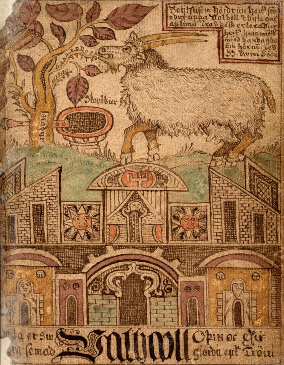 Manuscript_Heidrun.jpg