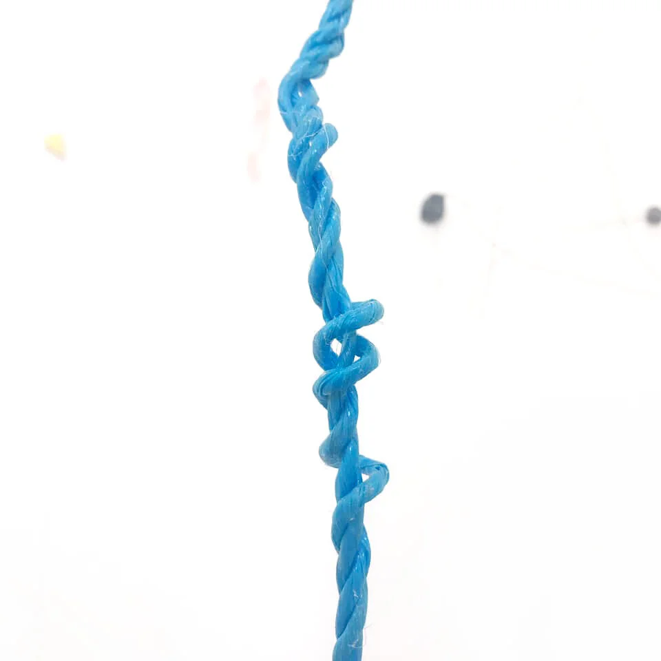 70779771_10156140798086906_5540961016789073920_n.jpg