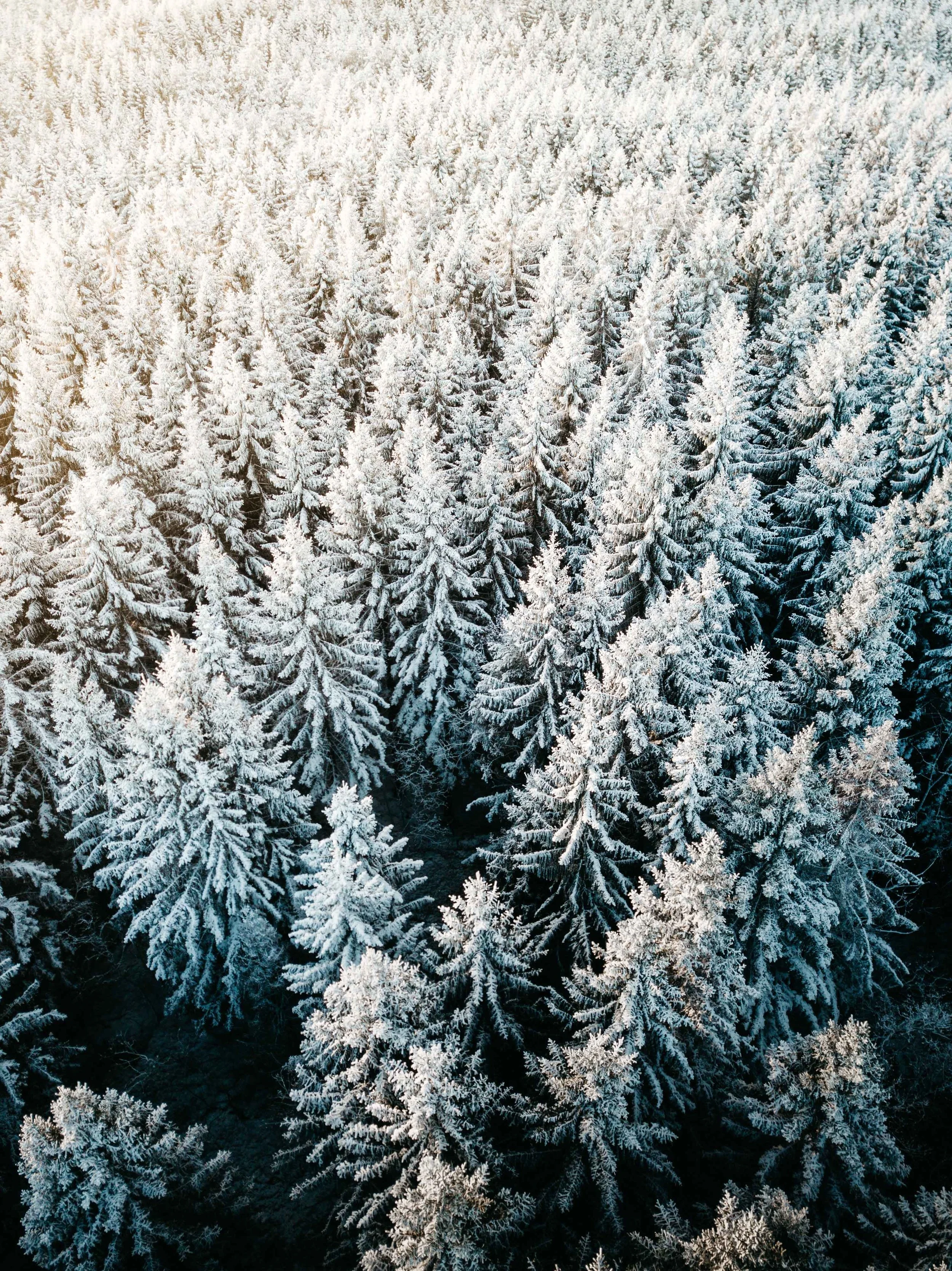 DJI_0174.jpg