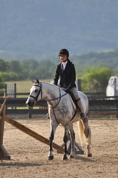 johnny schooling ring.JPG