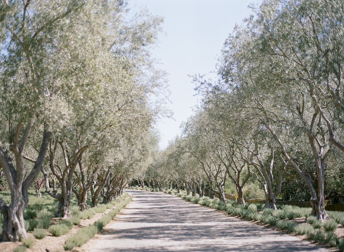 santabarbarawedding.com | Santa Barbara Wedding Style Blog | Weddings at San Ysidro Ranch | Kristen Beinke Photography | Garden Wedding Ideas