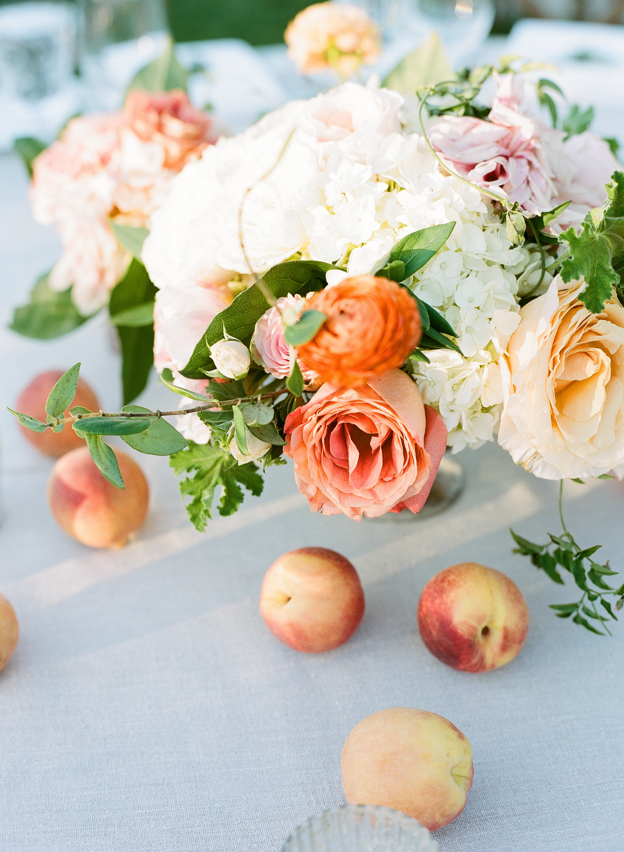 santabarbarawedding.com | Photographer: Beaux Arts Photographie | Peach Garden Wedding at Gainey Vineyard