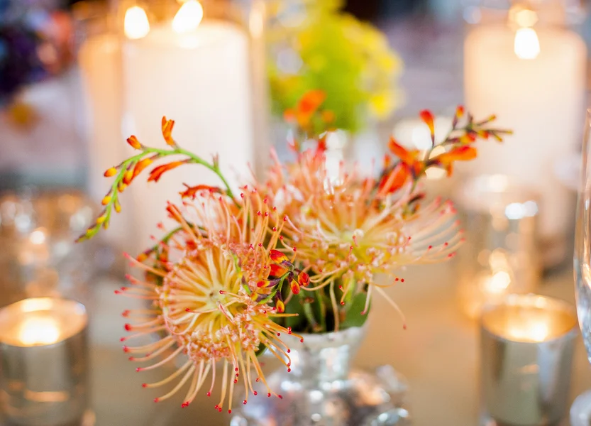 santabarbarawedding.com | photo: Willa Kveta Photography | Tropical Same Sex Wedding at the Montecito Country Club