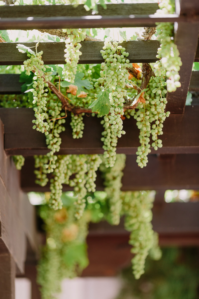 santabarbarawedding.com | Photo: Let's Frolic Together | Gainey Vineyard Santa Ynez Wedding Venue