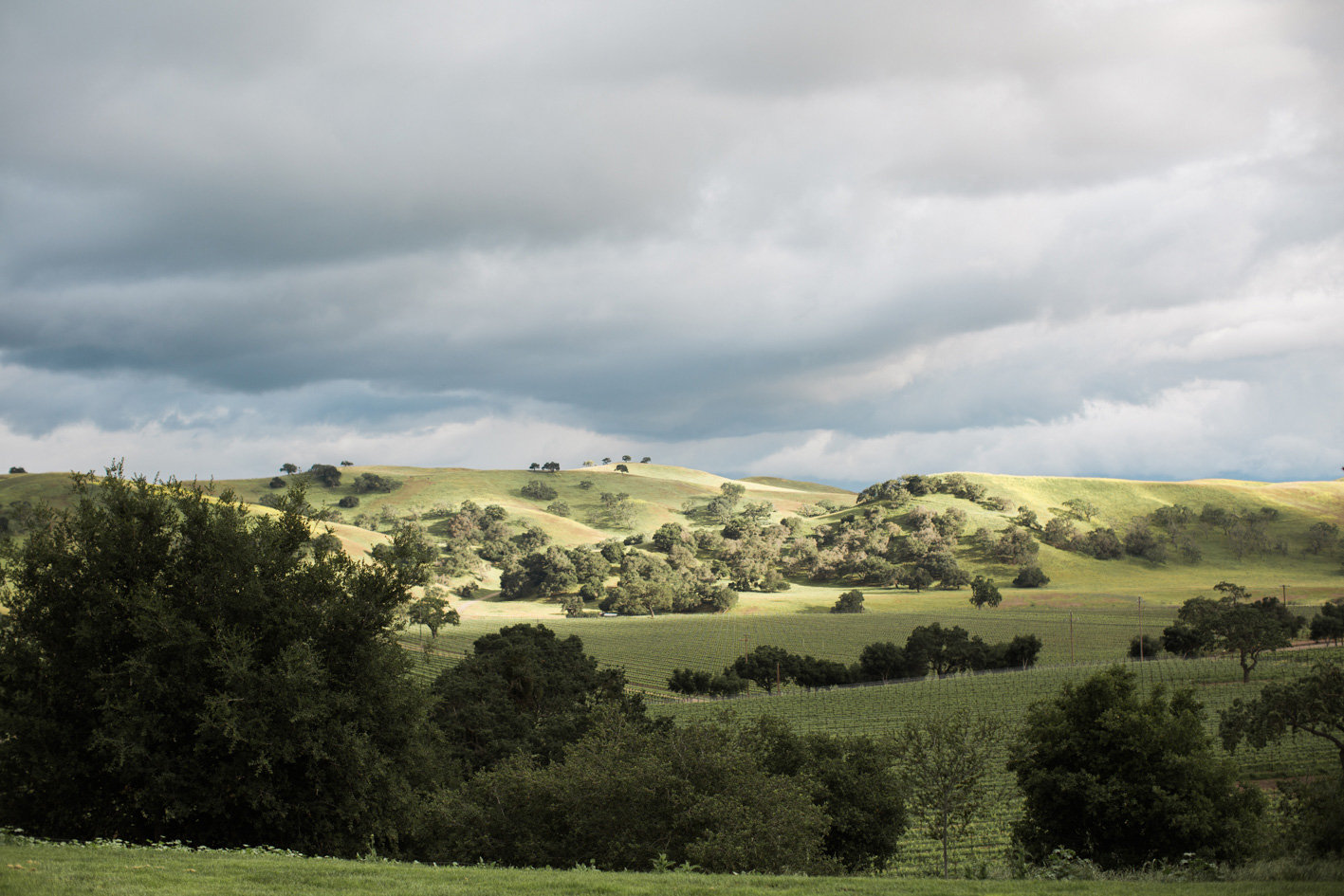 www.santabarbarawedding.com | Anna J Photography | Firestone Vineyard