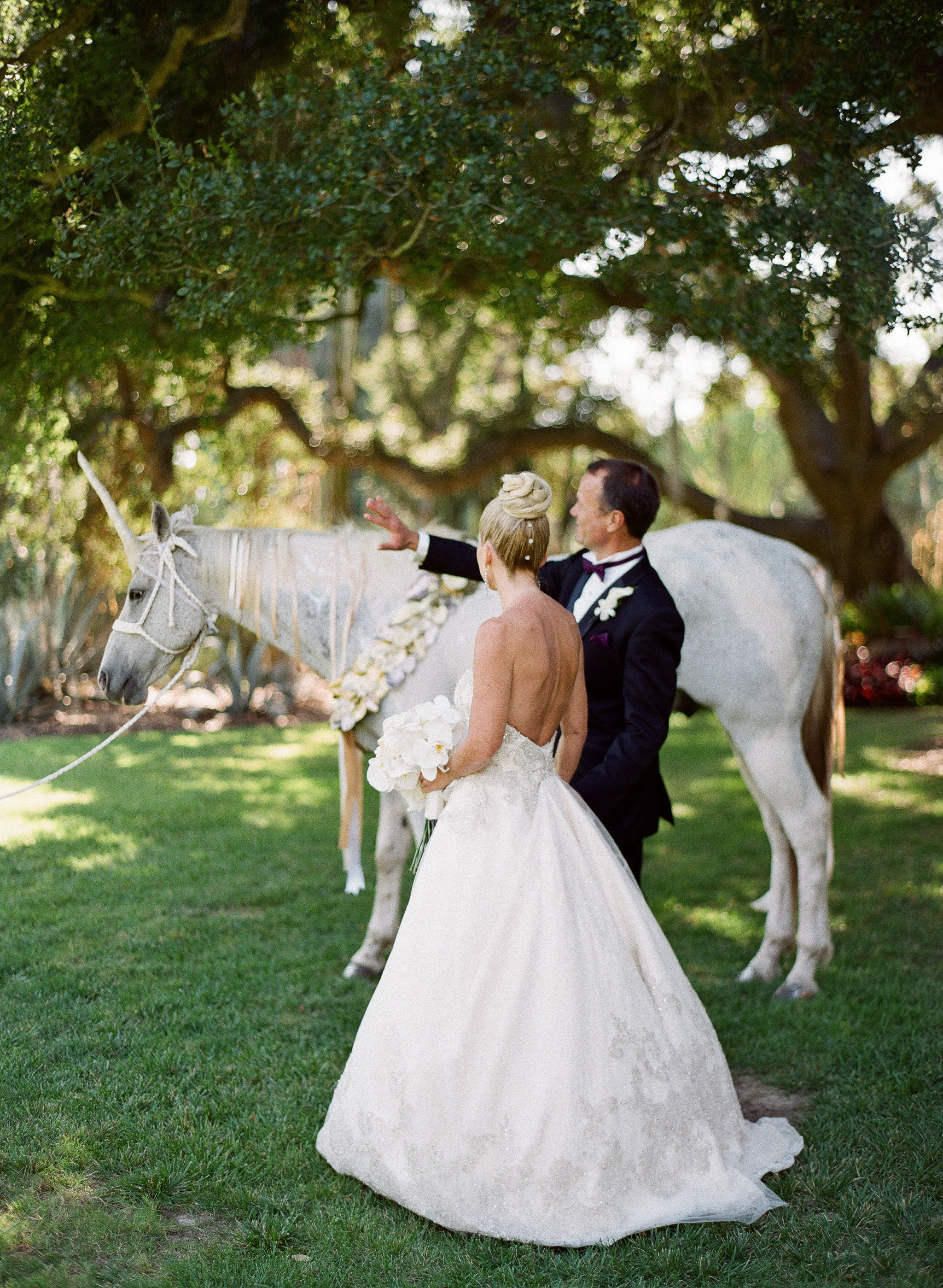 www.SantaBarbarawedding.com | Merryl Brown Events | Lotus Land | Wedding Location | Private Garden Venue