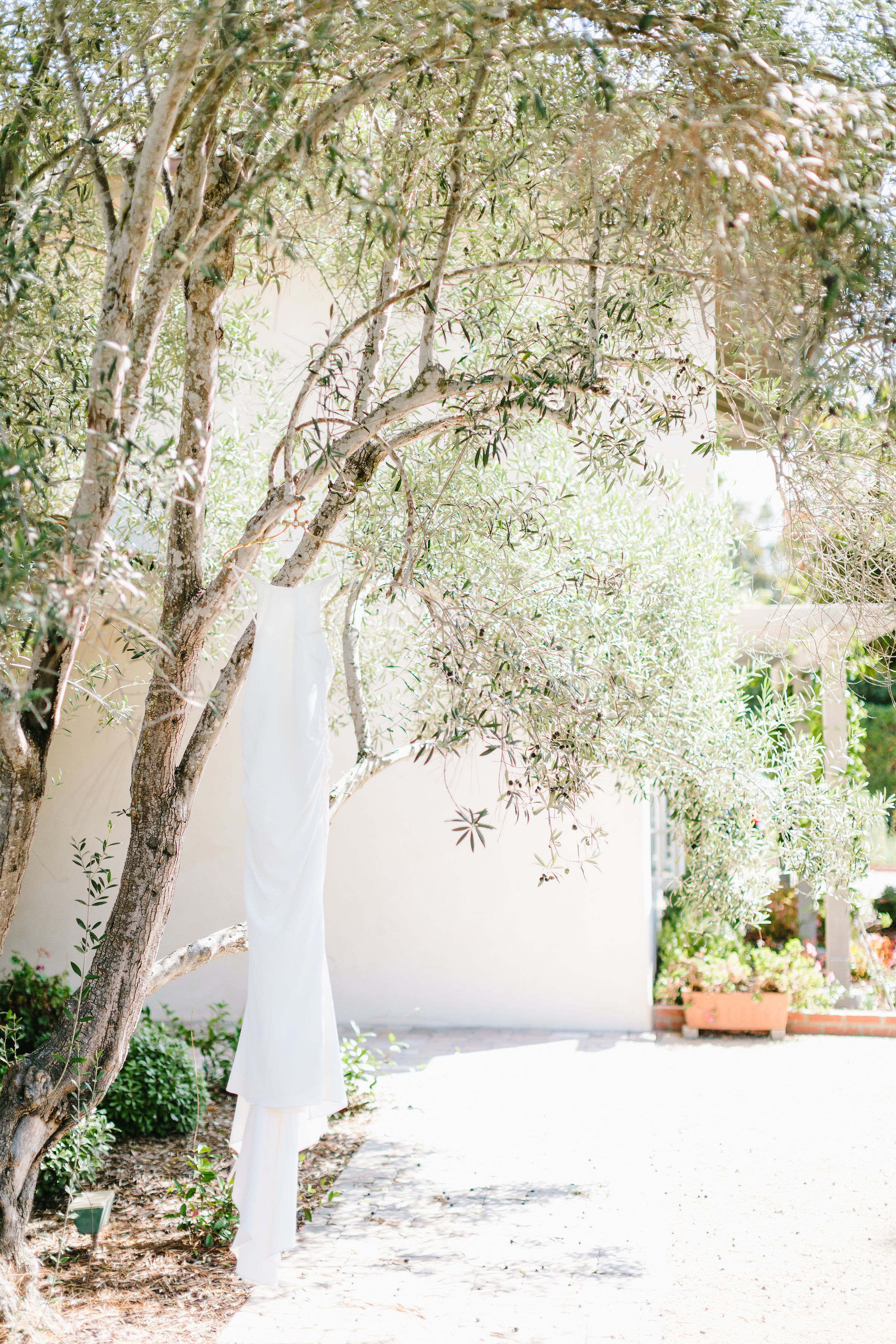 www.santabarbarawedding.com | Jodee Debes | Dos Pueblos Orchid Farm | Wedding Dress