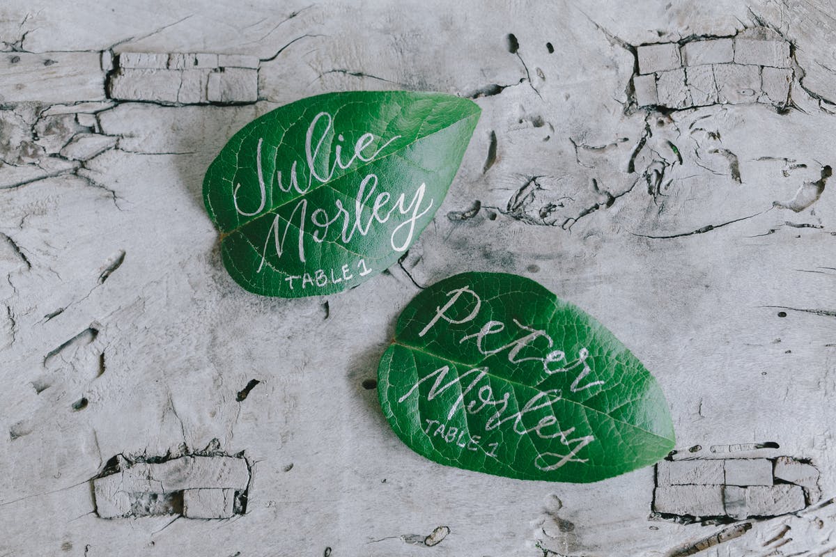 www.santabarbarawedding.com | San Ysidro Ranch | Alegria by Design | Jake + Necia Photography | Escort Cards