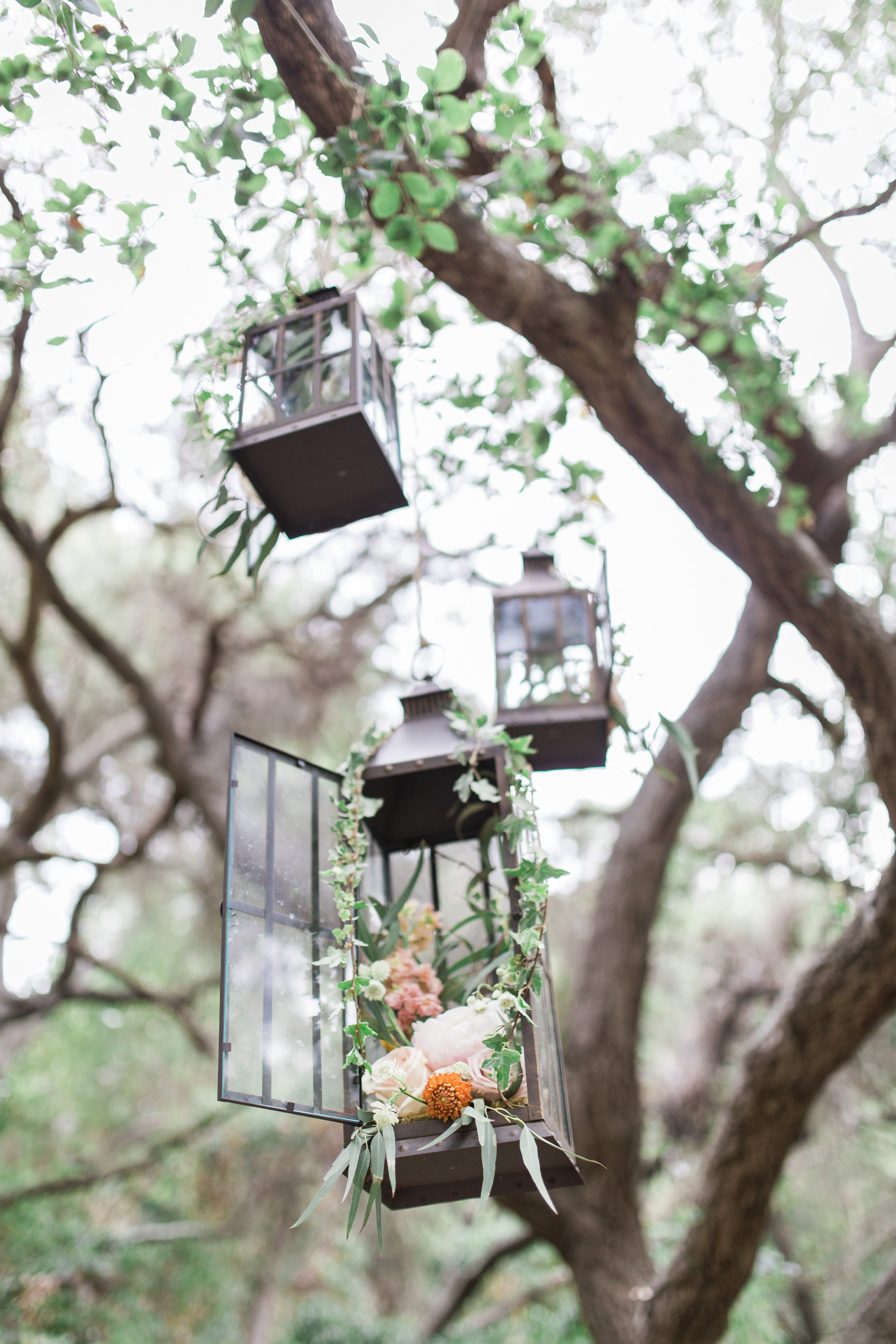 www.santabarbarawedding.com | Santa Barbara Museum of Natural History | Kiel Rucker