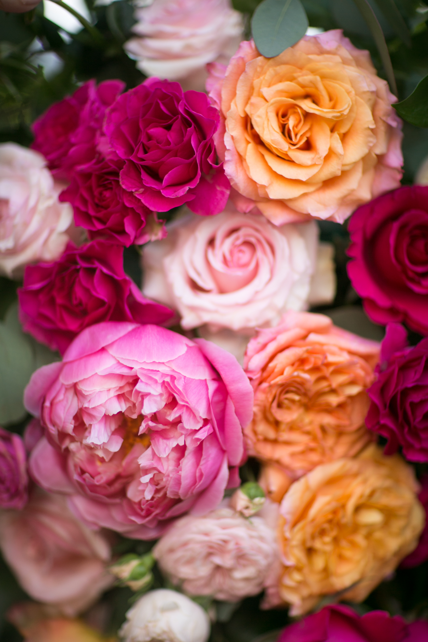 www.santabarbarawedding.com | Miki & Sonja Photography | Four Seasons Resort The Biltmore | Imagine Weddings & Special Events | Rockrose Floral Design | Flower Bouquet