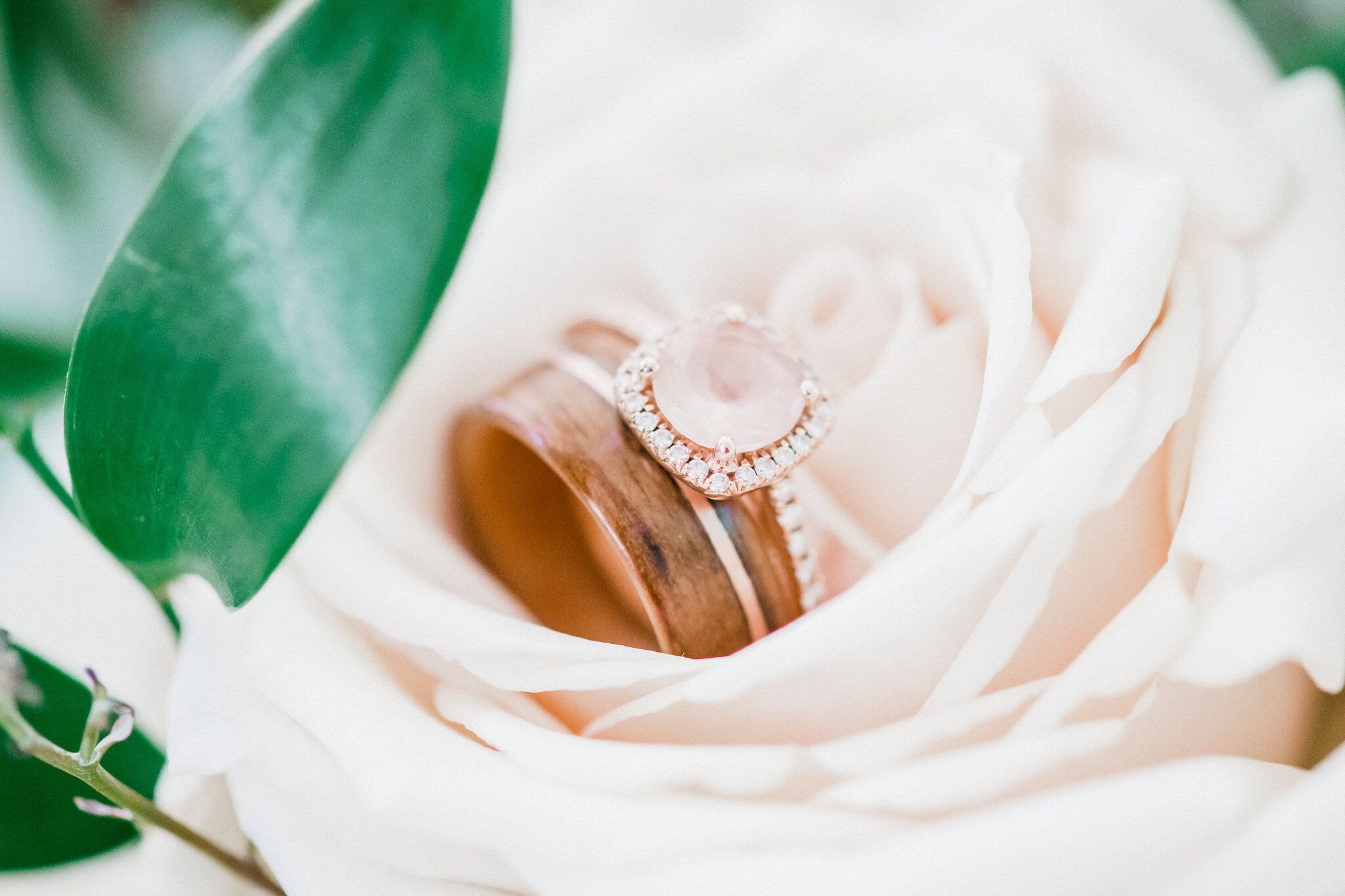 www.santabarbaraweddings.com | Photographer: Grace Kathryn | Venues: Villa & Vine, Santa Barbara Courthouse, Hilton Santa Barbara Resort | Coordination: Burlap & Bordeaux | Wedding Rings