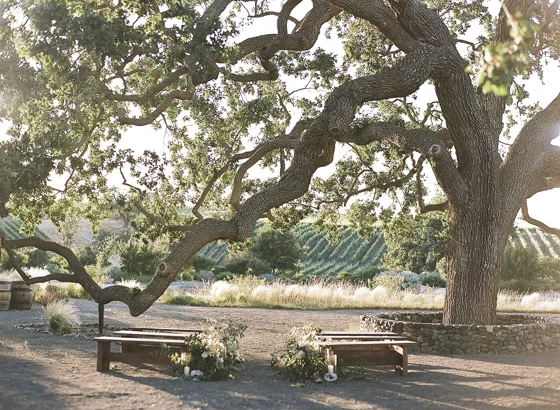 www.santabarbarawedding.com | Grassini Family Vineyards