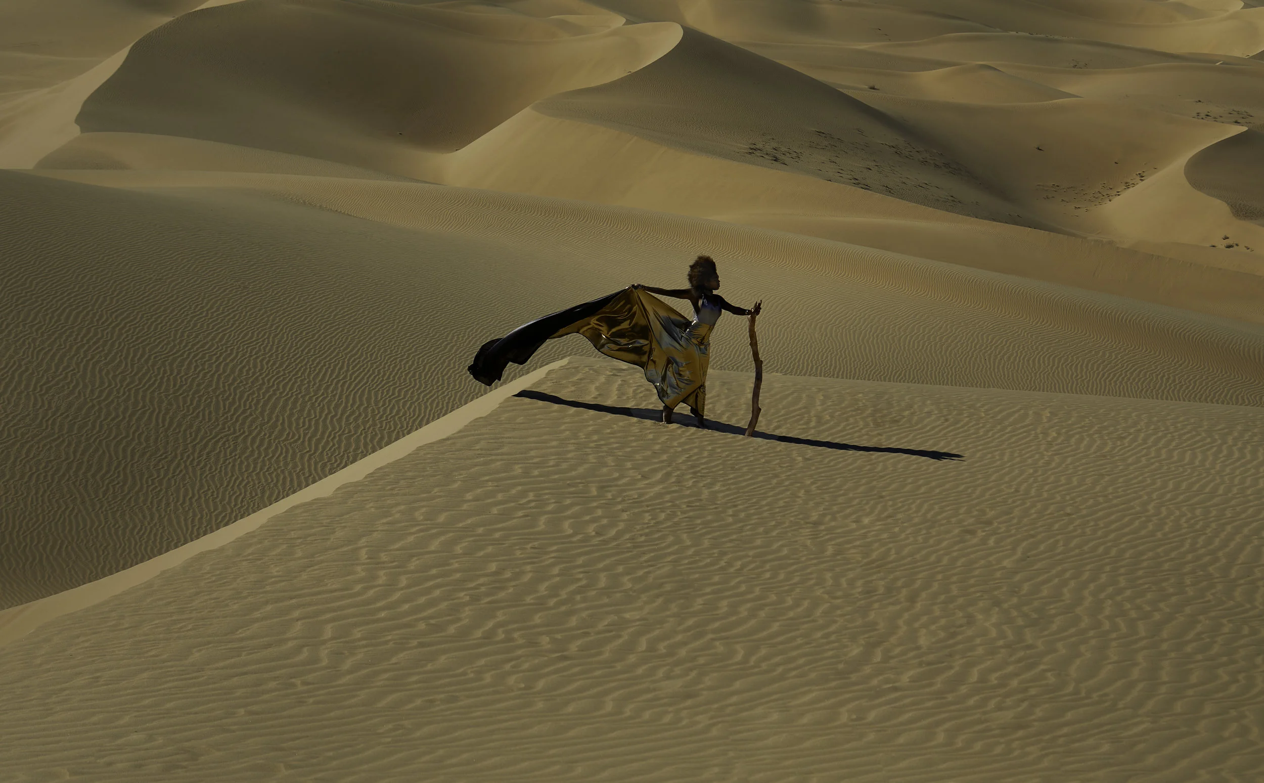 2017_06_06_DESERT_4J8A9431.jpg