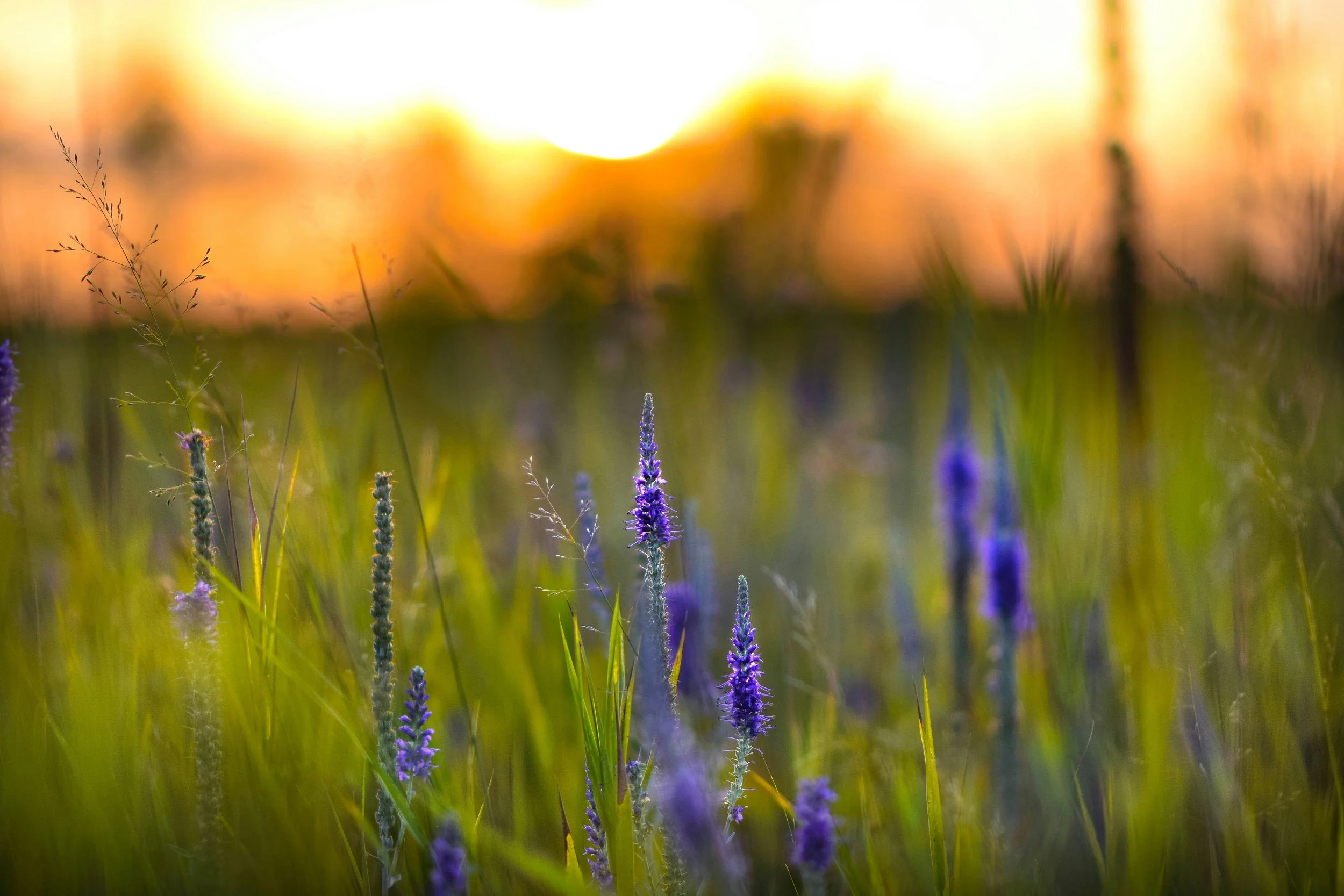 Easter's Invitation to Rest