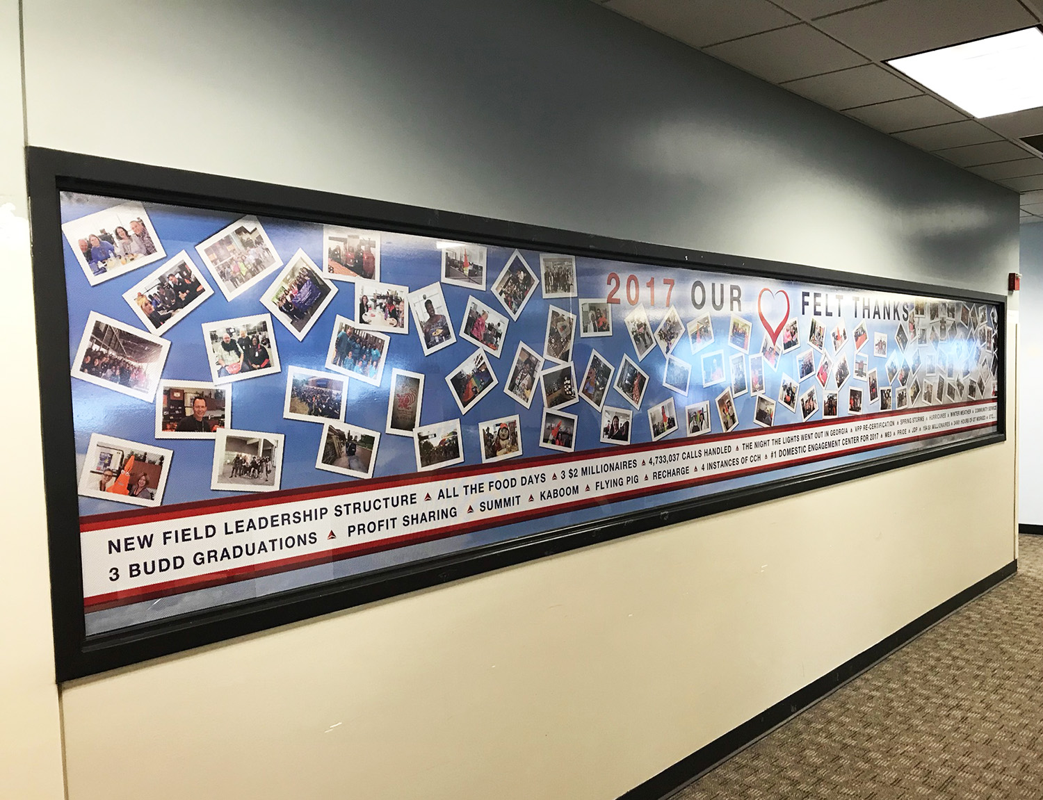 Delta Window Film