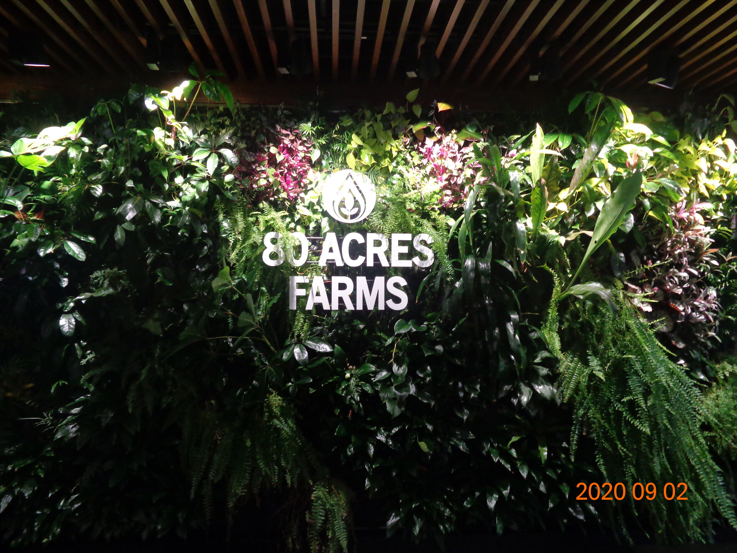 2001520 - 80 Acres Farms - Living Wall Dimensional Lettering  (1).JPG