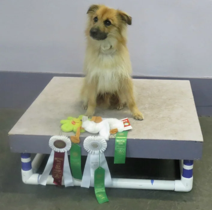 Recent Student Achievements